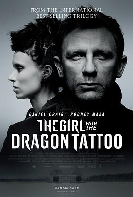 龙纹身的女孩 The Girl with the Dragon Tattoo(2011)