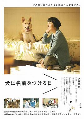 为你取名的那一天 犬に名前をつける日(2015)