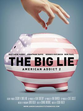 大谎言：美国瘾2 American Addict 2: The Big Lie(2015)