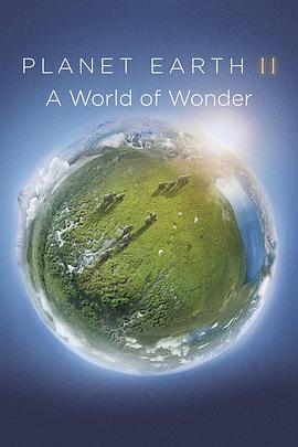 地球脉动2：奇迹世界 Planet Earth II: A World of Wonder(2017)