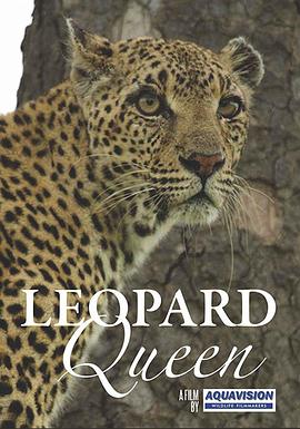 花豹女王 Leopard Queen(2011)