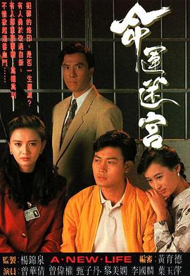 命运迷宫 命運迷宮(1991)