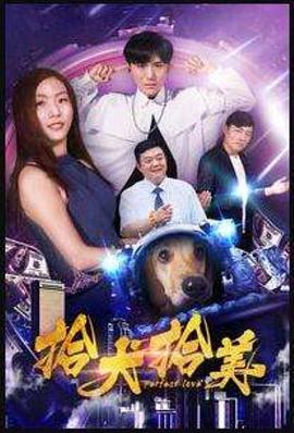 拾犬拾美(2018)