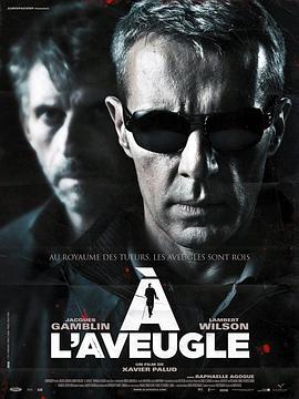 盲凶 À l'aveugle(2012)