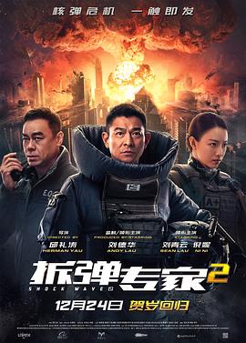 拆弹专家2(2020)