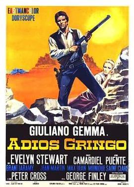 再见了，美国佬 Adiós gringo(1965)