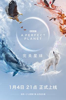 完美星球 A Perfect Planet(2021)