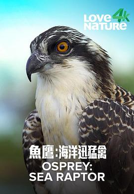 鱼鹰：海上猛禽 Osprey: Sea Raptor(2022)