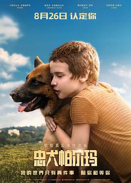 忠犬帕尔玛 Пальма(2021)