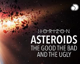 小行星的好坏美丑 Asteroids - The Good, the Bad and the Ugly(2010)