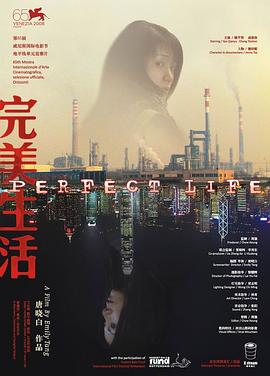 完美生活(2008)