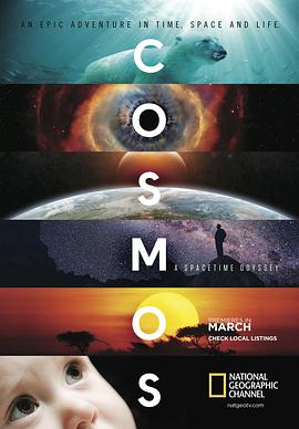 宇宙时空之旅 Cosmos: A SpaceTime Odyssey(2014)