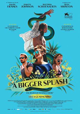 假日惊情 A Bigger Splash(2015)