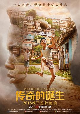 传奇的诞生 Pelé: Birth of a Legend(2016)