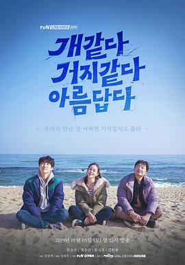 像狗像乞丐一样美丽 개 같다 거지같다 아름답다(2019)