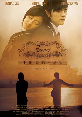 不能说的秘密 不能說的·祕密(2007)