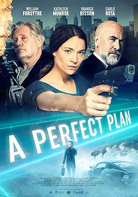 完美计划 A Perfect Plan(2020)