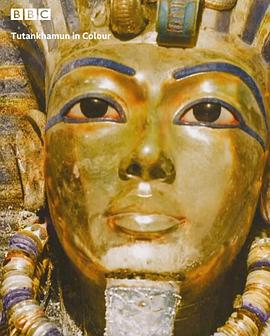 全彩少年法老 Tutankhamun in Colour(2020)