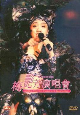 一个美丽的回响演唱会(1995)