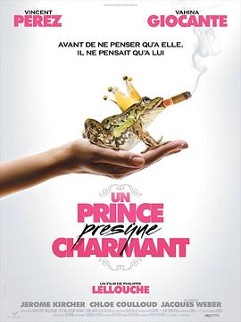 几近完美的白马王子 Un Prince (presque) charmant(2013)