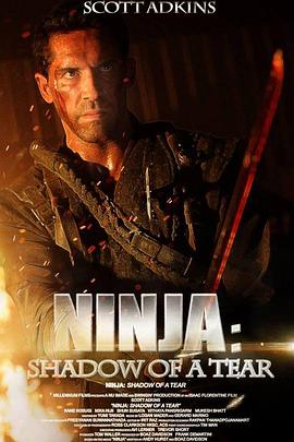 忍者2：撕裂的暗影 Ninja: Shadow of a Tear(2013)