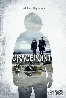 小镇疑云(美版) Gracepoint(2014)