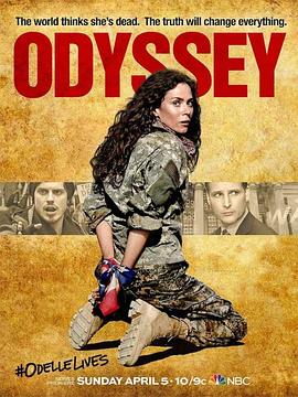 美国奥德赛 American Odyssey(2015)