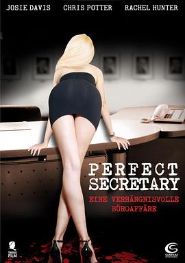 完美的助理 The Perfect Assistant(2008)