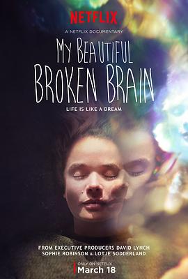 我美丽易碎的大脑 My Beautiful Broken Brain(2016)