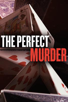 完美谋杀案 第一季 The Perfect Murder Season 1(2014)