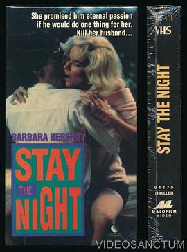 美丽的罪人 Stay the Night(1992)