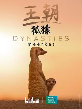 王朝：狐獴特辑 Dynasties: Meerkat Special(2020)