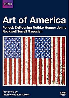 美国艺术 Art of America(2011)