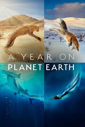 地球上的一年 A Year on Planet Earth(2022)