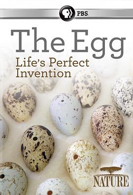 蛋：大自然的完美发明 The Egg: Life’s Perfect Invention(2019)